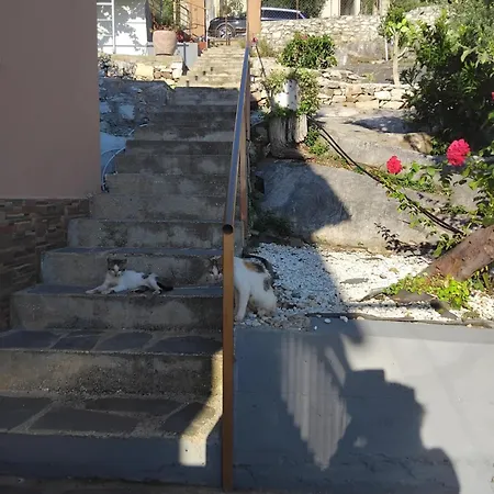 乡村民宿 Dimitra's Garden *
