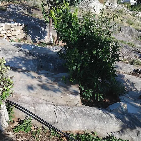 Dimitra's Garden *