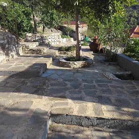 Dimitra's Garden