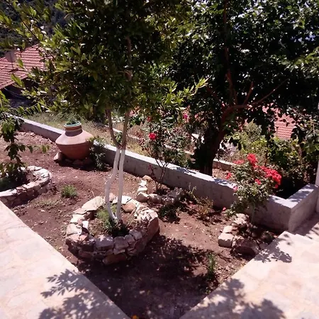 Dimitra's Garden 乡村民宿 Kallirákhi